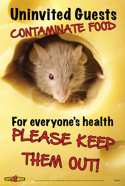 F&H001- Food and Hygiene Workplace Safety Poster