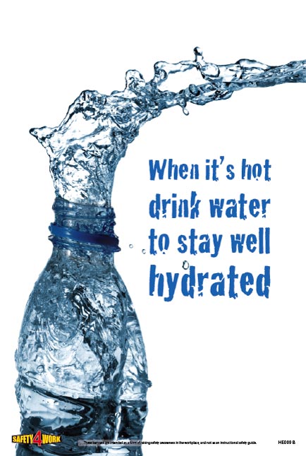 HE009B- Health Workplace Safety Poster