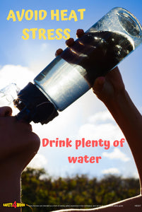 HE027- Health Workplace Safety Poster