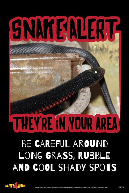 HS002- Home Safety Workplace Safety Poster