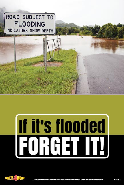 HS005- Home Safety Workplace Safety Poster